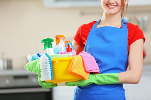 Professional oven cleaning service for Shepherdsbush homes