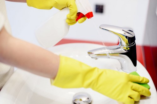 Local Shepherdsbush deep cleaning for rental properties and move-outs