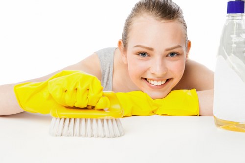 Local Shepherdsbush cleaner handling regular domestic cleaning tasks