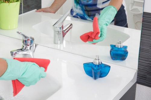 Kitchen appliance cleaning service for homes and businesses in Shepherds Bush