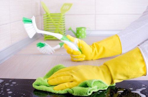 Local domestic cleaning for flats near Shepherd's Bush Green