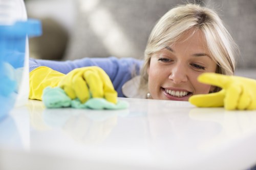 Regular home cleaning for a Shepherdsbush family property