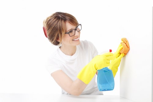 Detailed kitchen and bathroom deep cleaning in Shepherdsbush